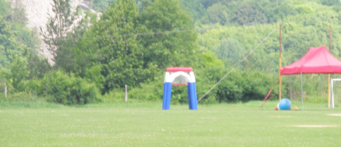 dakia_14_6_2010_1