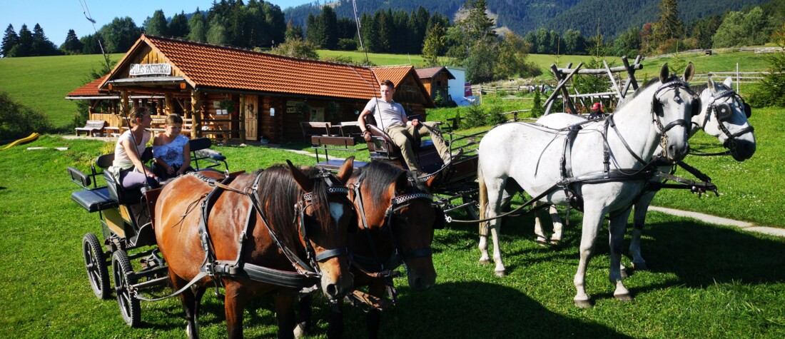 Teambuilding - jazda na koči Pastierska