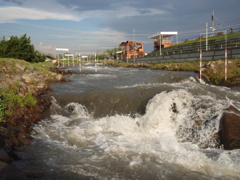 arasid_2008t_29