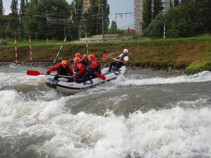 arasid_2008t_39