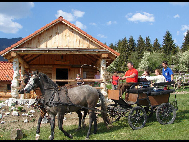 Konsky povoz na salasi Pastierska61