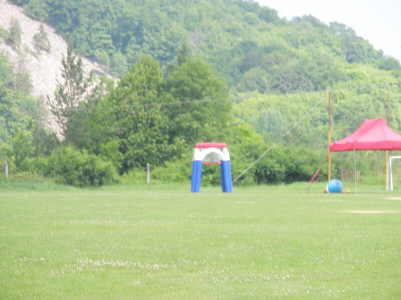 dakia_14_6_2010_1