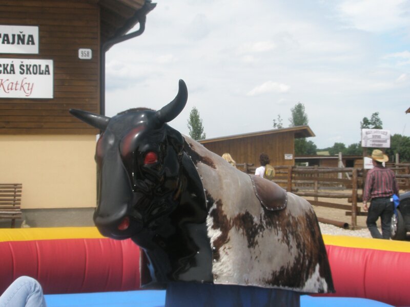 unicredit_pioneer_cabaj_capor_2009_31