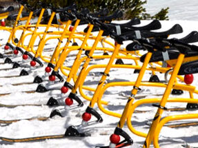 Snow bike 227