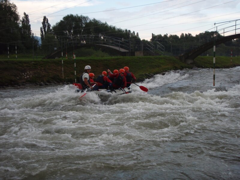 arasid_2008t_11
