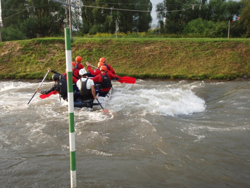 arasid_2008t_52