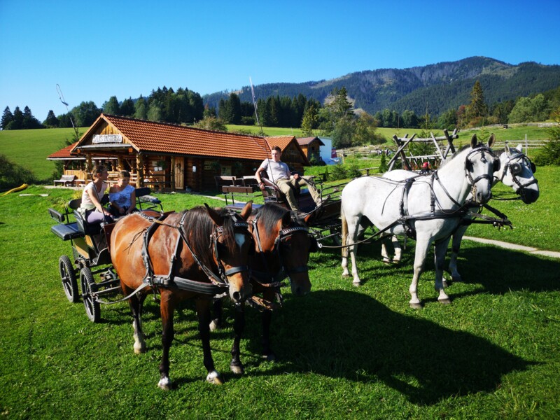 Teambuilding - jazda na koči Pastierska