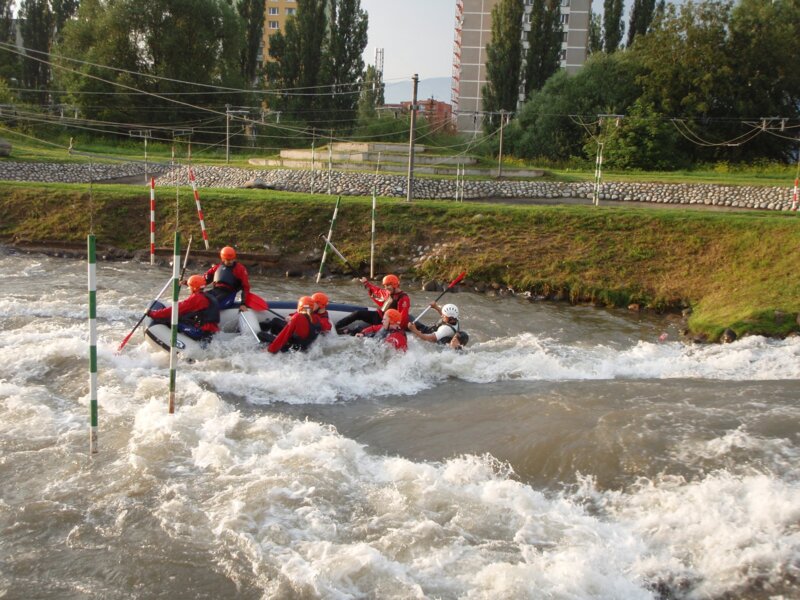 arasid_2008t_54