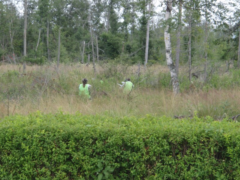 salva_group_43