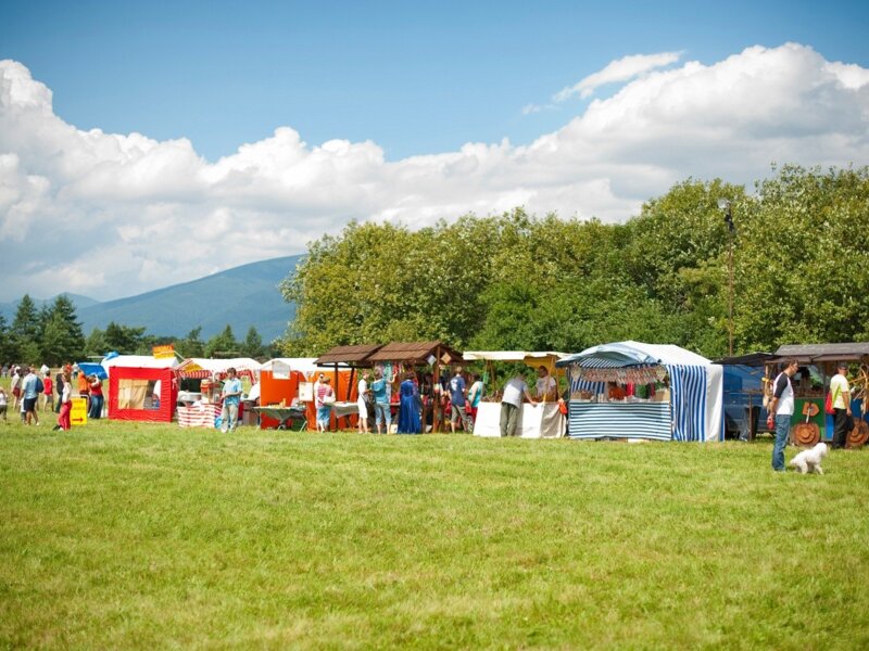 vavrisovska_bitka_2010_46