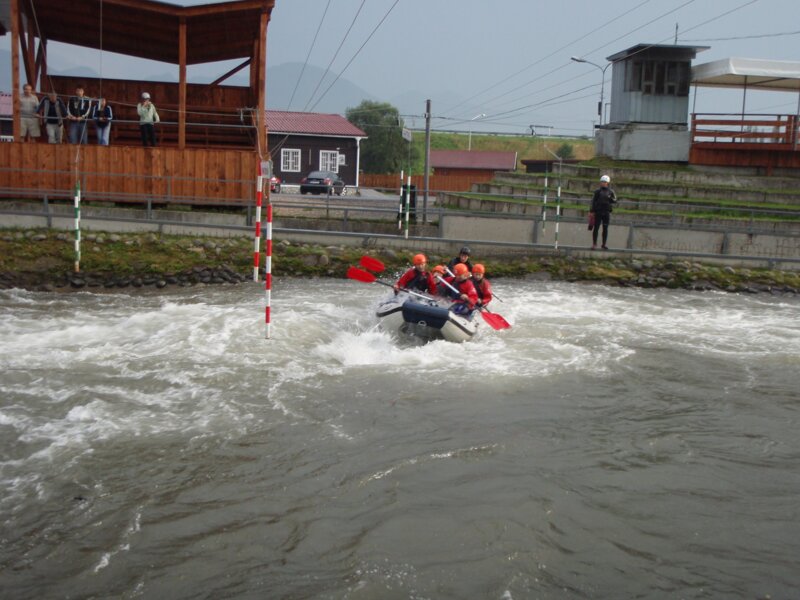 arasid_2008t_25