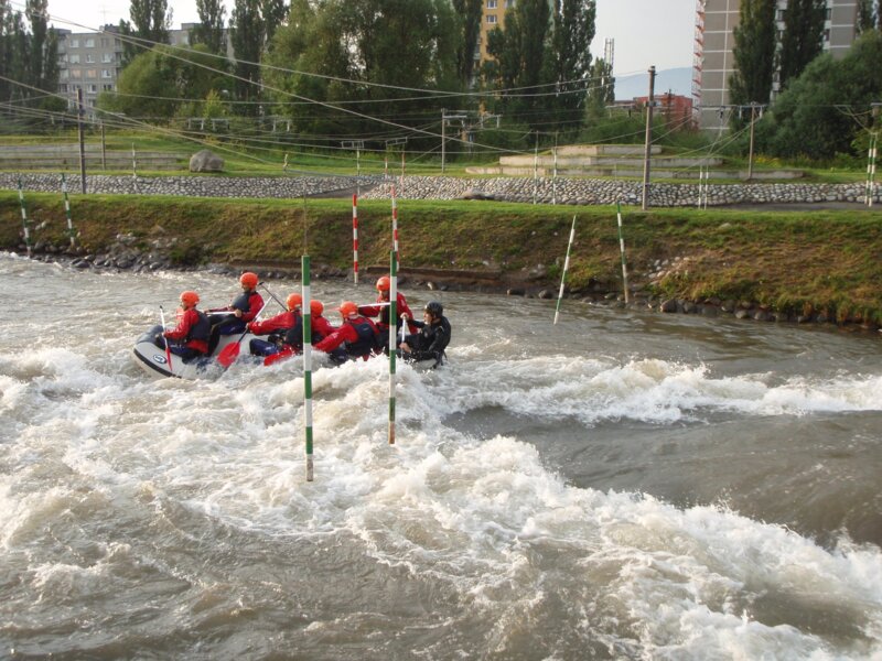 arasid_2008t_55