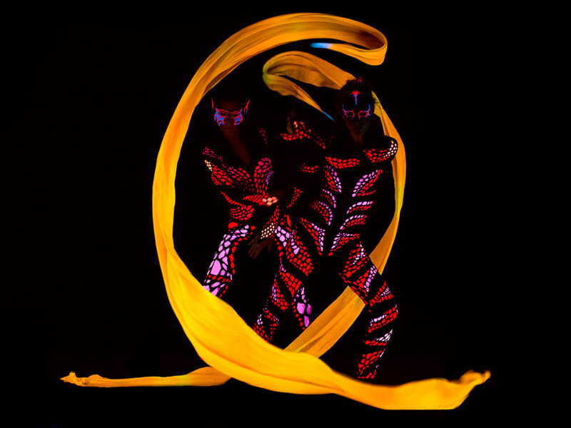 UV_Show80