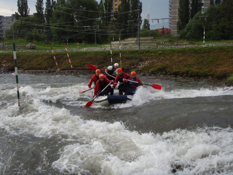 arasid_2008t_38
