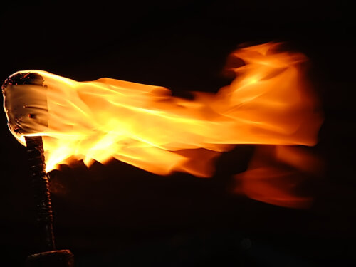 Torchlight Walk