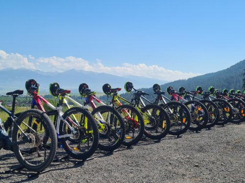 E-Bike