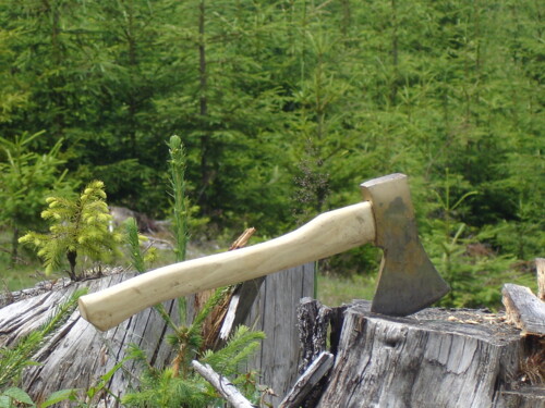 Preteky drevorubačov