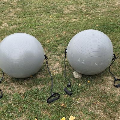 Fitball race